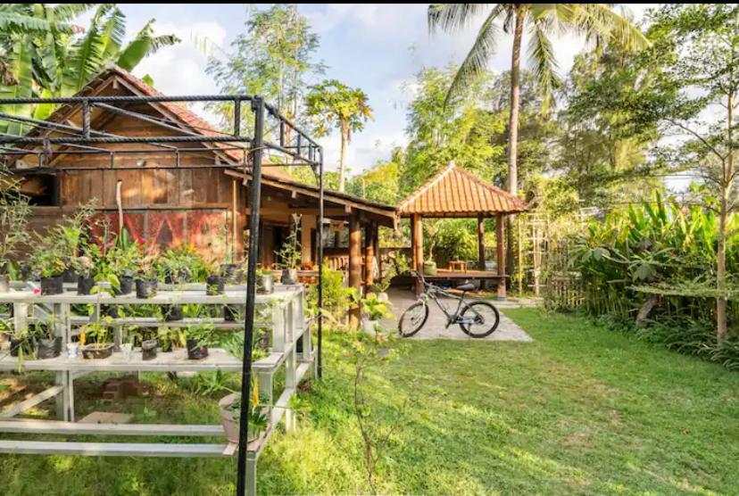 Al-Shifa Healing House Lombok Hotel Гили Еър Екстериор снимка